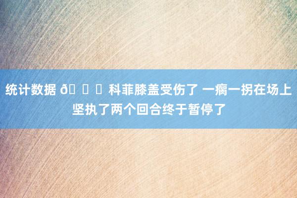 统计数据 😐科菲膝盖受伤了 一瘸一拐在场上坚执了两个回合终于暂停了