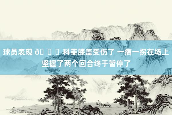 球员表现 😐科菲膝盖受伤了 一瘸一拐在场上坚握了两个回合终于暂停了