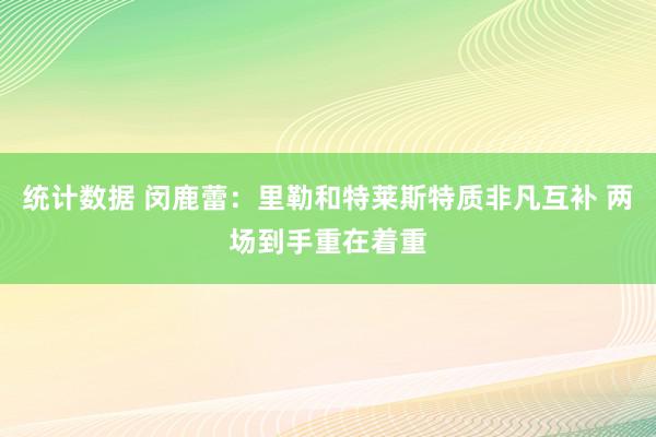 统计数据 闵鹿蕾：里勒和特莱斯特质非凡互补 两场到手重在着重