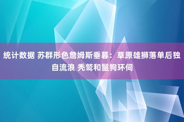 统计数据 苏群形色詹姆斯垂暮：草原雄狮落单后独自流浪 秃鹫和鬣狗环伺