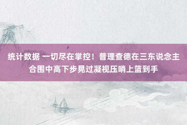 统计数据 一切尽在掌控！普理查德在三东说念主合围中高下步晃过凝视压哨上篮到手