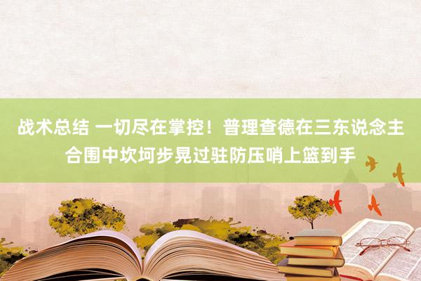 战术总结 一切尽在掌控！普理查德在三东说念主合围中坎坷步晃过驻防压哨上篮到手